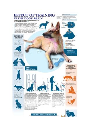 how much is it for dog training? The impact of training methods on canine behavior